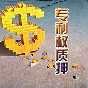 如何填寫“專利權(quán)質(zhì)押登記變更申請(qǐng)表”？