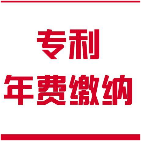 盛陽淺談：繳納專利年費的注意事項，從什么時候開始算